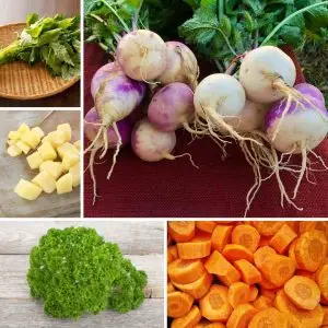 Celery & turnip soup mix